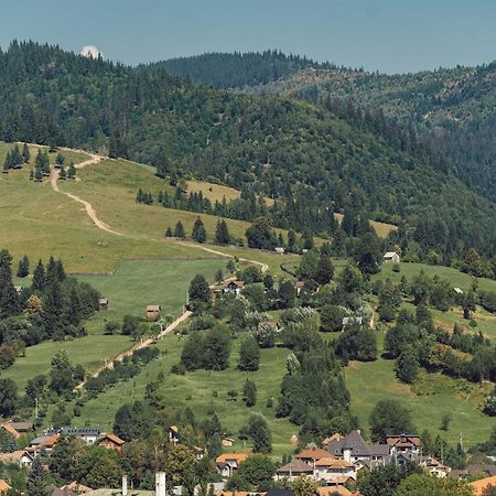 Vila Genia Câmpulung Moldovenesc Exteriér fotografie
