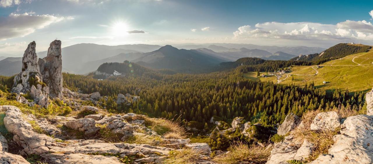 Vila Genia Câmpulung Moldovenesc Exteriér fotografie